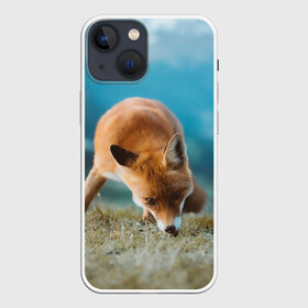 Чехол для iPhone 13 mini с принтом Милая лисичка в городе Новоалтайск,  |  | fox | foxy | животное | звери | лиса | лисенок | лисичка | милая | рыжая | фокс