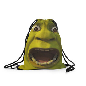 Рюкзак-мешок 3D с принтом Shrek Шрек в городе Новоалтайск, 100% полиэстер | плотность ткани — 200 г/м2, размер — 35 х 45 см; лямки — толстые шнурки, застежка на шнуровке, без карманов и подкладки | Тематика изображения на принте: 20 | 4к | boots | cat | donkey | fiona | green | in | me | meme | memes | once | shrek | somebody | told | в | зеленый | кот | лет | мем | мемы | мульт | мультфильм | огр | огры | осел | сапогах | фиона | шрек