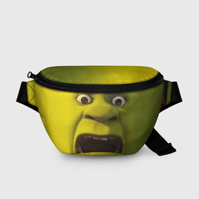 Поясная сумка 3D с принтом Shrek Шрек в городе Новоалтайск, 100% полиэстер | плотная ткань, ремень с регулируемой длиной, внутри несколько карманов для мелочей, основное отделение и карман с обратной стороны сумки застегиваются на молнию | 20 | 4к | boots | cat | donkey | fiona | green | in | me | meme | memes | once | shrek | somebody | told | в | зеленый | кот | лет | мем | мемы | мульт | мультфильм | огр | огры | осел | сапогах | фиона | шрек