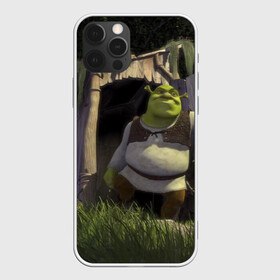 Чехол для iPhone 12 Pro Max с принтом Somebody Once Told Me в городе Новоалтайск, Силикон |  | Тематика изображения на принте: 20 | 4к | boots | cat | donkey | fiona | green | in | me | meme | memes | once | shrek | somebody | told | в | зеленый | кот | лет | мем | мемы | мульт | мультфильм | огр | огры | осел | сапогах | фиона | шрек