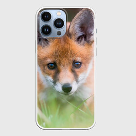 Чехол для iPhone 13 Pro Max с принтом Лисенок в засаде в городе Новоалтайск,  |  | fox | foxy | животное | звери | лиса | лисенок | лисичка | милая | рыжая | фокс