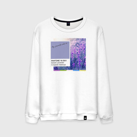 Мужской свитшот хлопок с принтом Panton Sweet Lavander в городе Новоалтайск, 100% хлопок |  | 16 3931 | color | lavander | panton | sweet lavander | лаванда | мило | модно | палитра | пантон | стильно | тренд | цвет | цветы