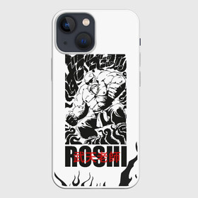 Чехол для iPhone 13 mini с принтом Roshi в городе Новоалтайск,  |  | anime | dragon ball | аниме | анимэ | бульма | драгон бал | дрэгон бол | жемчуг дракона | мутаэн роши | сон гоку | сунь укун | улонг | ямча