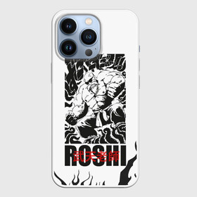 Чехол для iPhone 13 Pro с принтом Roshi в городе Новоалтайск,  |  | anime | dragon ball | аниме | анимэ | бульма | драгон бал | дрэгон бол | жемчуг дракона | мутаэн роши | сон гоку | сунь укун | улонг | ямча