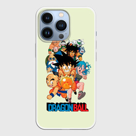 Чехол для iPhone 13 Pro с принтом Команда Драконьего яйца в городе Новоалтайск,  |  | anime | dragon ball | аниме | анимэ | драгон бал | дрэгон бол | жемчуг дракона