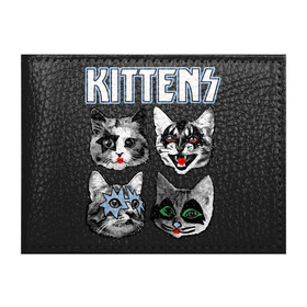 Обложка для студенческого билета с принтом Kittens в городе Новоалтайск, натуральная кожа | Размер: 11*8 см; Печать на всей внешней стороне | Тематика изображения на принте: animal | cat | cute | kiss | kitty | meow | rock | гитара | друг | животные | киска | кисс | китти | кот | котенок | котик | котэ | кошечка | кошка | метал | милый | музыка | мур | мяу | питомец | рок | тигр
