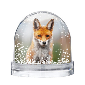 Игрушка Снежный шар с принтом рыжая лисица в городе Новоалтайск, Пластик | Изображение внутри шара печатается на глянцевой фотобумаге с двух сторон | fox | foxy | животное | звери | лиса | лисенок | лисичка | милая | рыжая | фокс