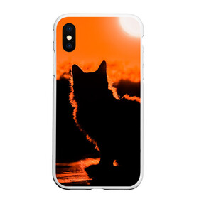 Чехол для iPhone XS Max матовый с принтом Котенок на фоне заката в городе Новоалтайск, Силикон | Область печати: задняя сторона чехла, без боковых панелей | закат | кот | котенок | кошка | солнце
