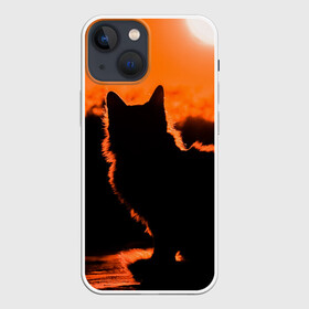 Чехол для iPhone 13 mini с принтом Котенок на фоне заката в городе Новоалтайск,  |  | закат | кот | котенок | кошка | солнце