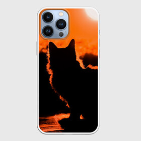 Чехол для iPhone 13 Pro Max с принтом Котенок на фоне заката в городе Новоалтайск,  |  | закат | кот | котенок | кошка | солнце