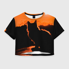 Женская футболка Crop-top 3D с принтом Котенок на фоне заката в городе Новоалтайск, 100% полиэстер | круглая горловина, длина футболки до линии талии, рукава с отворотами | закат | кот | котенок | кошка | солнце