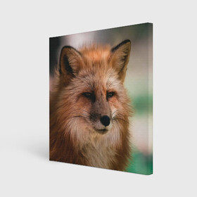 Холст квадратный с принтом Строгая лисица в городе Новоалтайск, 100% ПВХ |  | fox | foxy | животное | звери | лиса | лисенок | лисичка | милая | рыжая | фокс
