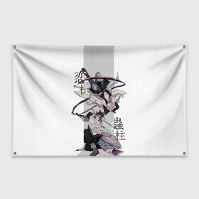 Флаг-баннер с принтом Шинобу и Мицури Kimetsu no Yaiba в городе Новоалтайск, 100% полиэстер | размер 67 х 109 см, плотность ткани — 95 г/м2; по краям флага есть четыре люверса для крепления | demon slayer | kamado | kimetsu no yaiba | nezuko | tanjiro | аниме | гию томиока | зеницу агацума | иноске хашибира | камадо | клинок | корзинная девочка | музан кибуцуджи | незуко | рассекающий демонов | танджиро | ш
