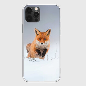 Чехол для iPhone 12 Pro Max с принтом Лисица прыгает по снегу в городе Новоалтайск, Силикон |  | Тематика изображения на принте: fox | foxy | животное | звери | лиса | лисенок | лисичка | милая | рыжая | фокс