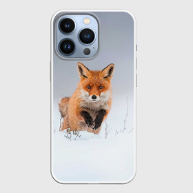 Чехол для iPhone 13 Pro с принтом Лисица прыгает по снегу в городе Новоалтайск,  |  | fox | foxy | животное | звери | лиса | лисенок | лисичка | милая | рыжая | фокс