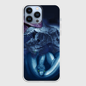 Чехол для iPhone 13 Pro Max с принтом Мифические змеи в городе Новоалтайск,  |  | анаконда | гадюка | змеи | змея | питон