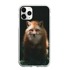 Чехол для iPhone 11 Pro Max матовый с принтом Хитрый Лис в городе Новоалтайск, Силикон |  | Тематика изображения на принте: animals | beast | forest | fox | nature | orange | predator | red | животные | зверь | лес | лис | лиса | лисица | лисичка | природа | рыжая | рыжий | фыр | хитрый | хищник