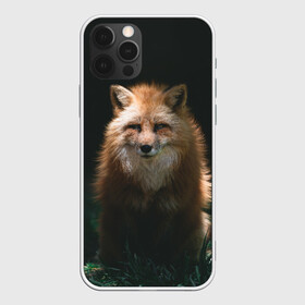 Чехол для iPhone 12 Pro Max с принтом Хитрый Лис в городе Новоалтайск, Силикон |  | Тематика изображения на принте: animals | beast | forest | fox | nature | orange | predator | red | животные | зверь | лес | лис | лиса | лисица | лисичка | природа | рыжая | рыжий | фыр | хитрый | хищник