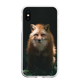 Чехол для iPhone XS Max матовый с принтом Хитрый Лис в городе Новоалтайск, Силикон | Область печати: задняя сторона чехла, без боковых панелей | animals | beast | forest | fox | nature | orange | predator | red | животные | зверь | лес | лис | лиса | лисица | лисичка | природа | рыжая | рыжий | фыр | хитрый | хищник