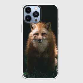 Чехол для iPhone 13 Pro Max с принтом Хитрый Лис в городе Новоалтайск,  |  | animals | beast | forest | fox | nature | orange | predator | red | животные | зверь | лес | лис | лиса | лисица | лисичка | природа | рыжая | рыжий | фыр | хитрый | хищник