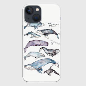 Чехол для iPhone 13 mini с принтом киты в городе Новоалтайск,  |  | ocean | sea | киты | море | морской принт | морской фон | океан | паттерн | рыбы | текстуры