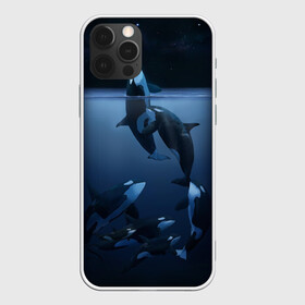 Чехол для iPhone 12 Pro Max с принтом касатки в городе Новоалтайск, Силикон |  | ocean | orca | sea | sea animal | дельфин | касатка | кит | море | океан | рисунок кита