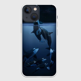 Чехол для iPhone 13 mini с принтом касатки в городе Новоалтайск,  |  | ocean | orca | sea | sea animal | дельфин | касатка | кит | море | океан | рисунок кита