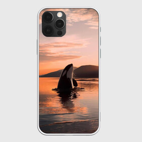 Чехол для iPhone 12 Pro Max с принтом касатки на закате в городе Новоалтайск, Силикон |  | ocean | orca | sea | sea animal | дельфин | закат | касатка | кит | море | океан | рисунок кита