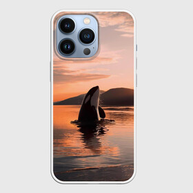 Чехол для iPhone 13 Pro с принтом касатки на закате в городе Новоалтайск,  |  | ocean | orca | sea | sea animal | дельфин | закат | касатка | кит | море | океан | рисунок кита