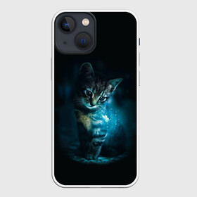 Чехол для iPhone 13 mini с принтом красивый кот в городе Новоалтайск,  |  | бабочки и кошки в красивом свете | кот в свете | одинокий кот | только бабочки