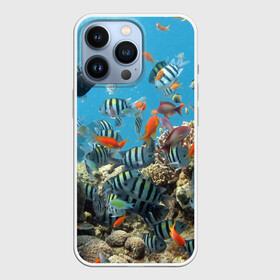 Чехол для iPhone 13 Pro с принтом Коралловые рыбки в городе Новоалтайск,  |  | коралловые | кораллы | море | подводный мир | рыбки