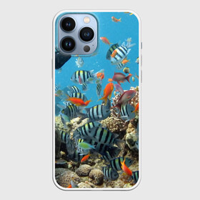 Чехол для iPhone 13 Pro Max с принтом Коралловые рыбки в городе Новоалтайск,  |  | Тематика изображения на принте: коралловые | кораллы | море | подводный мир | рыбки