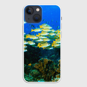Чехол для iPhone 13 mini с принтом Коралловые рыбки в городе Новоалтайск,  |  | коралловые | кораллы | море | морские обитатели | океан | подводный мир | рыбки