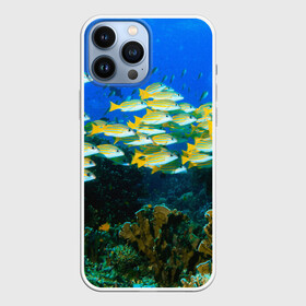 Чехол для iPhone 13 Pro Max с принтом Коралловые рыбки в городе Новоалтайск,  |  | Тематика изображения на принте: коралловые | кораллы | море | морские обитатели | океан | подводный мир | рыбки