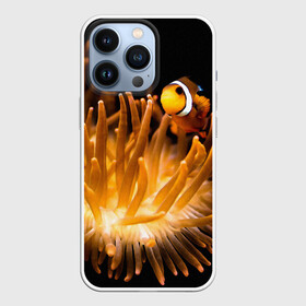 Чехол для iPhone 13 Pro с принтом Клоуны в актинии в городе Новоалтайск,  |  | актиния | клоуны | коралловые | море | подводный мир | рыбки