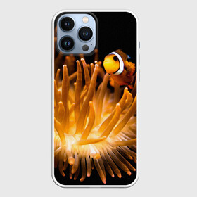 Чехол для iPhone 13 Pro Max с принтом Клоуны в актинии в городе Новоалтайск,  |  | Тематика изображения на принте: актиния | клоуны | коралловые | море | подводный мир | рыбки