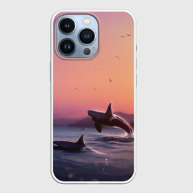 Чехол для iPhone 13 Pro с принтом касатки в городе Новоалтайск,  |  | ocean | orca | sea | sea animal | дельфин | закат | касатка | кит | море | океан | рисунок кита