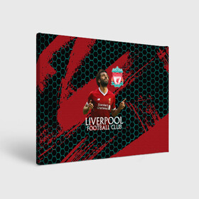 Холст прямоугольный с принтом Liverpool Мохамед Салах в городе Новоалтайск, 100% ПВХ |  | lfc | liverpool | mohamed salah | sport | ynwa | ливерпуль | лфк | мохамед салах | спорт