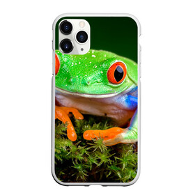 Чехол для iPhone 11 Pro матовый с принтом Тропическая лягушка в городе Новоалтайск, Силикон |  | Тематика изображения на принте: зеленая лягушка | лягушка | тропики