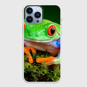 Чехол для iPhone 13 Pro Max с принтом Тропическая лягушка в городе Новоалтайск,  |  | Тематика изображения на принте: зеленая лягушка | лягушка | тропики