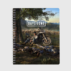 Тетрадь с принтом Days gone Дикон и толпа фриков в городе Новоалтайск, 100% бумага | 48 листов, плотность листов — 60 г/м2, плотность картонной обложки — 250 г/м2. Листы скреплены сбоку удобной пружинной спиралью. Уголки страниц и обложки скругленные. Цвет линий — светло-серый
 | Тематика изображения на принте: action | animals | days gone | deacon | gamer | games | nextgen | pandemic | pc | player | playstation | ps 5 | steam | top | valve | weapon | xbox | zombie | валв | видео игры | животные | жизнь после | зомби | игрок | иксбокс | некстген | оружи