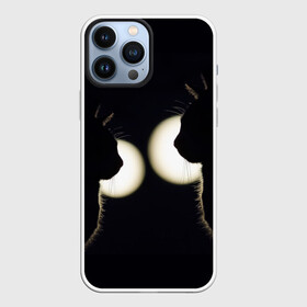 Чехол для iPhone 13 Pro Max с принтом Пара | Силуэты черных кошек в городе Новоалтайск,  |  | Тематика изображения на принте: cat | кот | кошка | пара | силуэты | черные кошки