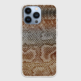 Чехол для iPhone 13 Pro с принтом Snake skin в городе Новоалтайск,  |  | Тематика изображения на принте: animal | leather | natural | skin | snake | texture | wild