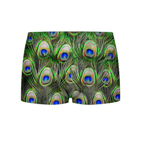 Мужские трусы 3D с принтом peacock в городе Новоалтайск, 50% хлопок, 50% полиэстер | классическая посадка, на поясе мягкая тканевая резинка | Тематика изображения на принте: pavonine | peacock | peafowl | plumage | павлин