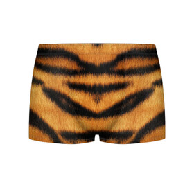 Мужские трусы 3D с принтом Tiger Wool в городе Новоалтайск, 50% хлопок, 50% полиэстер | классическая посадка, на поясе мягкая тканевая резинка | animal | skin | tiger | wool | тигр