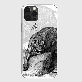 Чехол для iPhone 12 Pro Max с принтом Тигр и змея в городе Новоалтайск, Силикон |  | дикий.природа | животные | зверь | змея | иероглиф | кошка | надпись на японском | тигр