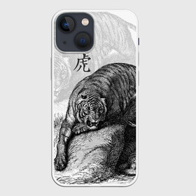 Чехол для iPhone 13 mini с принтом Тигр и змея в городе Новоалтайск,  |  | дикий.природа | животные | зверь | змея | иероглиф | кошка | надпись на японском | тигр
