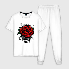 Мужская пижама хлопок с принтом Красная Роза Red Rose в городе Новоалтайск, 100% хлопок | брюки и футболка прямого кроя, без карманов, на брюках мягкая резинка на поясе и по низу штанин
 | flower | flowers | green | nature | pattern | red | rose | roses | spring | summer | весна | зеленый | краски | красная | лето | листва | листья | паттерн | природа | роза | розы | узор | фауна | флора | цветок | цветы