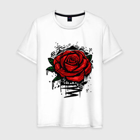 Мужская футболка хлопок с принтом Красная Роза Red Rose в городе Новоалтайск, 100% хлопок | прямой крой, круглый вырез горловины, длина до линии бедер, слегка спущенное плечо. | Тематика изображения на принте: flower | flowers | green | nature | pattern | red | rose | roses | spring | summer | весна | зеленый | краски | красная | лето | листва | листья | паттерн | природа | роза | розы | узор | фауна | флора | цветок | цветы