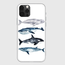 Чехол для iPhone 12 Pro Max с принтом киты в городе Новоалтайск, Силикон |  | ocean | orca | sea | sea animal | whale | белуха | дельфин | касатка | кит | море | океан | рисунок кита | синий кит
